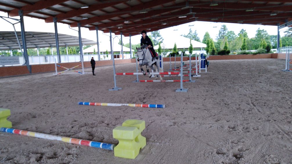 <span style="font-size:14px;"><strong>Scuola di Equitazione sportiva</strong></span>